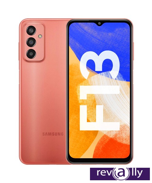 Samsung Galaxy F13